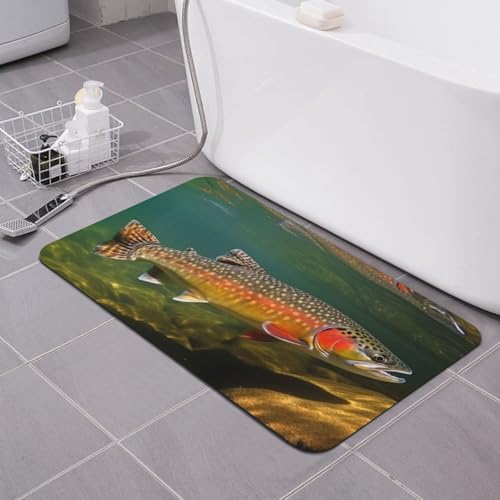 Stone Bath Mats for Bathroom Diatomaceous Earth Bath Mat Super Absorbent Floor Mat Brook Trout Fly Fishing Stone Drying Mats Quick Drying Diatomite Shower Mat for Bathtub Pad 19.7x31.5in - color: Brook Trout Fly Fishing, size: 1'8" x 2'8" (Rectangular)