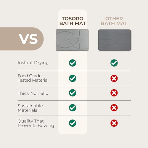 TOSORO - Stone Bath Mat Diatomaceous Earth Shower Mat Non-Slip Super Absorbent Diatomite Stone Bath Mats for Bathroom Floor Quick Drying Natural Easy to Clean (23.5 x 15) - Graphite - color: Enso Graphite, size: Pack of 1