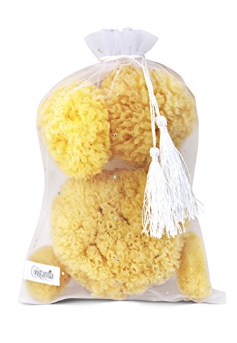 Constantia Beauty® Real Natural Sea Sponges 5pc Spa Gift Set | Premium Bag, Kind on Skin, For Bath Shower Facial Cleansing, Pamper Moms Brides Girlfriends & Teens - style: 5 piece set boxed