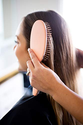 Framar Detangling Brush for Curly Hair – Hair Brushes for Women, Wet Detangler Hair Brush, Wet Hairbrush For Women, Hairbrushes, Hair Brush Detangler – Reduces Hair Breakage Champagne - color: Champagne