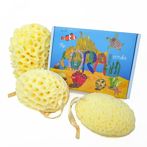The Coral Scrubs – Family Bath Sponge, 3 Pack Sea Sponges Bath, Shower Sponge, Baby Sponges for Bath Newborn, Bath Sponges for Adults, Kids Bath Sponge.