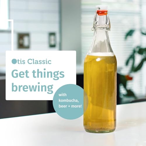 Otis Classic Clear Swing Top Glass Bottles, Plastic Caps, Set of 6, 16oz | Marker & Labels Included, Plastic Cap BPA Free, For Juice, Water, Kombucha, Wine, Beer Brewing, Kefir Milk, Eggnog - color: 1. Clear - Plastic Lids