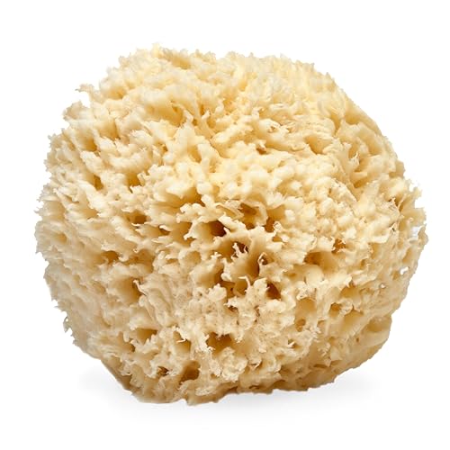 LATHER - Natural Sea Wool Sponge, 5-6" - Organic Exfoliating Body Scrubber - Soft, Gentle Cleansing - Hypoallergenic - All Skin Types - Florida Natural Loofah Sponge - Cruelty Free - Beauty & Skincare - style: Large