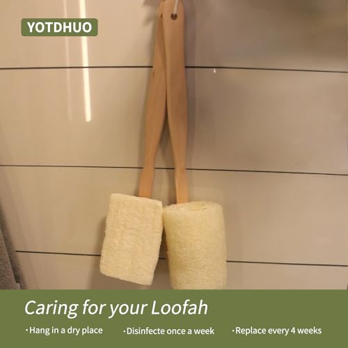 Natural Loofah with Handle,Back Scrubber for Shower Exfoliating Luffa On a Stick (1Pack) (Brush) - color: Brush