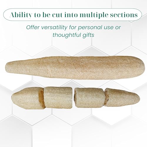 10 Pcs (7 – 10 Inches) Natural Loofah Sponge | Organic Loofah | Shower Loofah Exfoliating Body Scrubber | Bath for Loofah for Men and Women | (10 - Pack) - size: 7.1 – 10 Inch