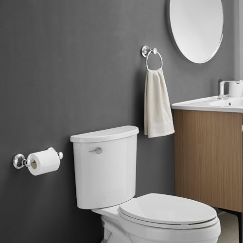 RUMOSE Toilet Paper Holder and Hand Towel Ring Polished Chrome Wall Mount Bathroom Hardware Accessories 2 PCS Set Flexible Pivoting Toilet Tissue Roll Holder and Towel Hanger, Stainless Steel - color: Polished Chrome