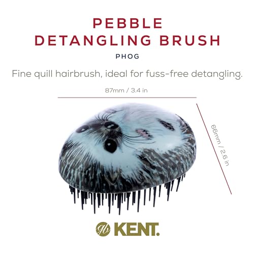 Kent PHOG Pebble Scalp Massager Shampoo Brush and Travel Size Detangling Brush - Scalp Scrubber for Dandruff and Kids' Hair Detangler (Hedgehog) - color: Hedgehog