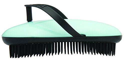 B103 Shower Head Brush/Exfoliator Shampoo Brush/Head Massager Scalp Stress Relax Shower Brush/Scalp Scrub Hair Brush Massager/Hair Massager for Hair Growth/Scalp Dandruff Brush Small Hair Brush - color: Licorice Mint