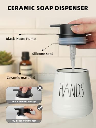 Ceramic Soap Dispenser Set, 13oz Wash Soap Dispenser(Liquid-Hands & Dishes) - color: Liquid-hands & Dishes