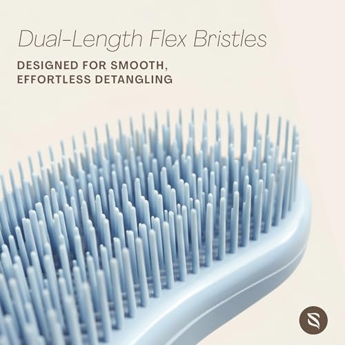 Detangler Brush, Curly Hair Brush for Women, Men & Kids - Wet & Dry Detangling Hair Brush for Curly, Thick, Fine & Wavy Hair - Anti-Breakage Wave Brush, Pain-Free Hairbrush, Mist Blue - color: Mist Blue