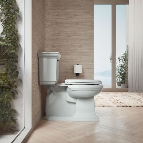 KOHLER CACHET® Nightlight Soft Close Toilet Seat Elongated, ReadyLatch®, Grip-Tight Hardware, Ice Grey - color: Ice Gray, size: Elongated