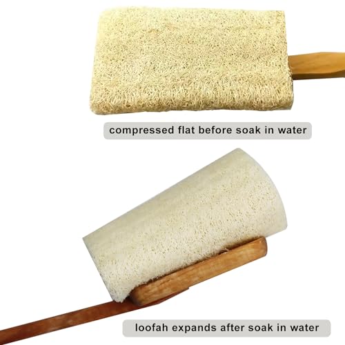 2 Pack Natural Exfoliating Loofah Luffa Loofa Bath Brush On a Stick, Shower Sponge Back Scrubber with Long Wooden Handle for Men & Women, Deep Clean and Invigorate Your Skin Back Brush - style: Loofah Back Brushes