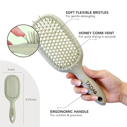 TADA Natural Beauty Hair Brush Detangler for Curly, Thick, Wavy, and Thin Hair - Ventilation Holes for Quick Drying and Styling, Detangler Brush for Women, Men, Kids (4 Colors) (Green) - color: Green