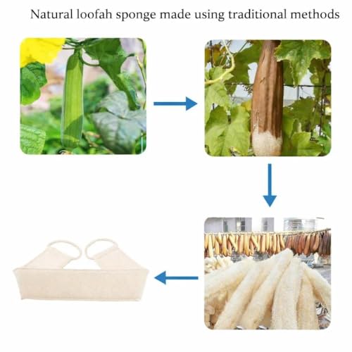 Natural Loofah Back Scrubber, Exfoliating Sponge Set for Showers | Unisex Body Exfoliator and Oval Bath Pads for Back Deep Cleansing, Ideal for Men and Women at Home, Gym or During Travel
