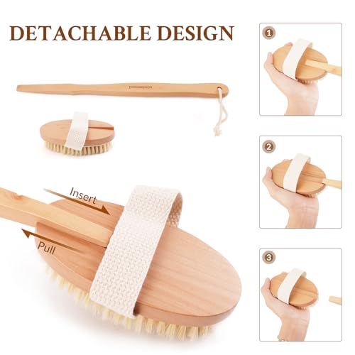 Body Brush, Detachable Long-Handle Bath Brush, Unisex Cleansing Brush, Efficient Exfoliating Massage, Oval Brush Head, 2 Pack - size: Oval - Detachable