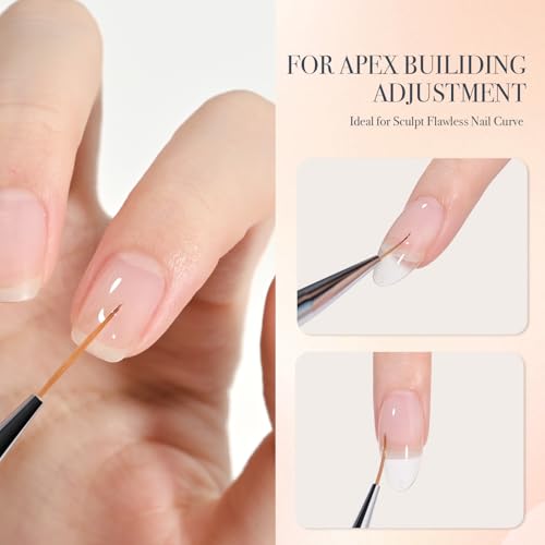 GAOY 5Pcs Nail Art Liner Brushes, Professional Painting Art Pen Set, Nail Design Tools for French Liner, Thin Details and Fine Drawing - color: 5Pcs Clear Nail Liner Brushes
