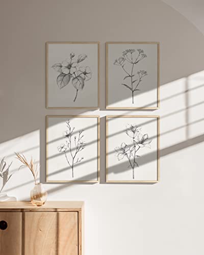 HAUS AND HUES Grey Floral Wall Art - Set of 4 Plant Posters for Wall Vintage, Botanical Prints, Black and White Flower Pictures for Room Aesthetic, Farmhouse Bathroom, Rustic Art (Beige Frame, 11x14) - color: Antique Flower Drawings, size: 11x14, style: B