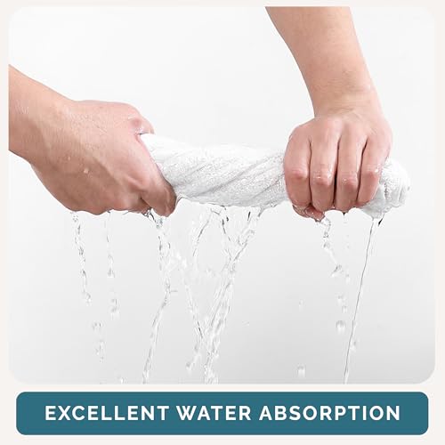 Casa Platino White Washcloths 6 Pack - 13x13 inches - 100% Cotton - Premium Quality Wash Cloths for Bathroom - Well Stitched, Soft & Highly Absorbent Washcloths Set - Ideal for Hotel, Spa & Salons - color: 02: White, size: 6 Piece Wash Cloth