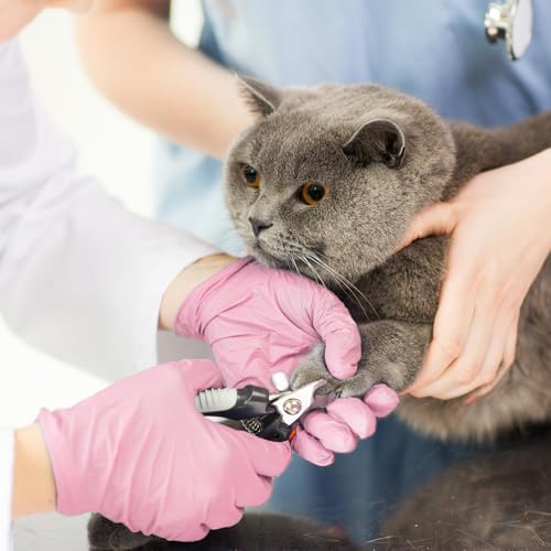 Disposable Gloves Small, Nitrile and Vinyl Blend Material Gloves, Latex Free 4 Mil 1000 Pc Food Grade Glove for Cleaning, Food Prep, Hair Dye, Tattoo, Pink - color: Pink, size: Small-1000pc