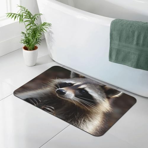 Stone Bath Mats for Bathroom Diatomaceous Earth Bath Mat Super Absorbent Floor Mat Raccoon Stone Drying Mats Quick Drying Diatomite Shower Mat for Bathtub Pad 15.7x23.6in - color: Raccoon