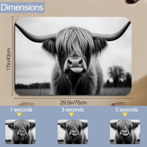Highland Cow Bathroom Rugs, Non Slip Quick Dry Rustic Farmhouse Bath Mats for Bathroom, Super Absorbent Diatomaceous Bathmat for Home Kitchen Thin Floor Doormat 17 X 29.5 Inch - color: Highland Cow