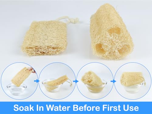 Organic Natural Loofah Sponge for Cleaning and Showering, Plant Fiber Body Bath Scrubber, 100% Plastic Free, Compostable, Set of 4