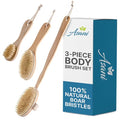 Asani Dry Brushing Body Brush Set for Lymphatic Drainage & Cellulite - 3-Pcs Detachable Back, Contour Body & Face Brushes Organic Gift for Dry Skin, Exfoliation, Invigorating Showers