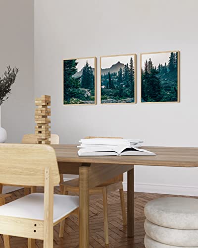 HAUS AND HUES Forest Photography - Set of 3 Mountain Pictures, Nature Art for Living Room (Beige Frame, 12x16) - color: Forest Landscape, size: 12"L x 16"W, style: Beige Framed