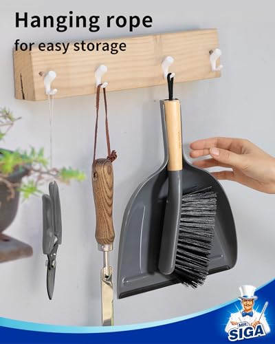 MR.SIGA Dustpan and Brush Set, Portable Cleaning Brush and Dustpan Combo with Bamboo Handle, Gray, 1 Set - color: Gray