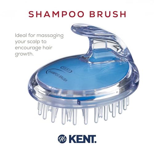 Kent SH1 BLUE Scalp Scrubber Hair Brush and Exfoliator for Distributing Shampoo and Conditioner, Shower Scalp Massage Tool and Hair Growth Brush Shower with 42 Soft Rubber Bristles - color: Blue, size: 2 Pack