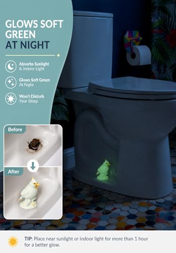Glow in the Dark Bird Toilet Bolt Covers Decorative, Bolt hole 1.14'' | 2Pack PLA Material, Hides Rusty Toilet Bolts, for Bird Lovers, Glows After Light Exposure - style: Cardinal Bird