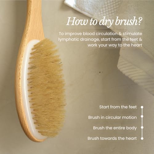 Bare Botanics 17" Extra Long Dry Body Brush - Medium Firmness Back Scrubber | Ergonomic Curved Handle with Silicone Grip and Hang Rope | Natural Bristles | For Shower Use - size: Long Back Brush