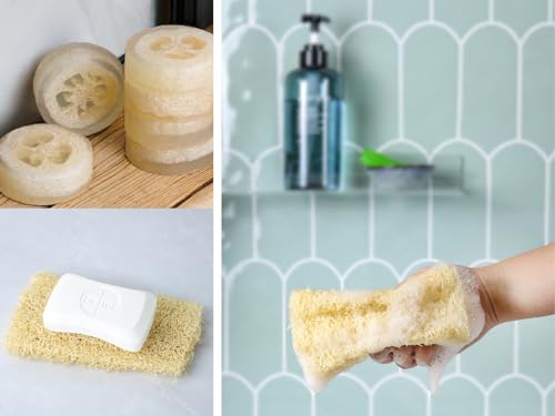 Organic Natural Loofah Sponge for Cleaning and Showering, Plant Fiber Body Bath Scrubber, 100% Plastic Free, Compostable, Set of 4