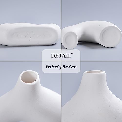 CEMABT White Ceramic Vase Set of 2 for Modern Minimalist Bohemian Decor，Round Matte Donut Vases for Pampas Grass-Perfect for Living Room, Dining Table, Office Bedroom Shelf Decor Entryway, Console - color: White