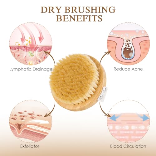 Detachable Dry Brushing Body Brush, Natural Boar Bristle Back Scrubber for Shower for Men and Women with Long Handle for Exfoliation and Lymphatic