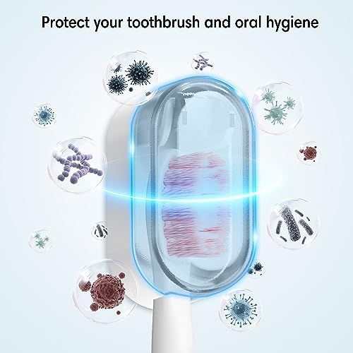 BALUCA 3 PCS Travel Toothbrush Head Covers Caps, Tooth Brush Protector Case Wall Mounted Hanging Rack Organizer for Travel, Camping, Bathroom, School, Business (Grey) - color: Grey