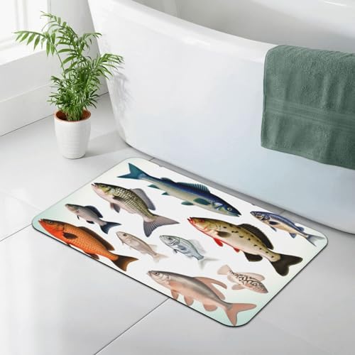 Stone Bath Mats for Bathroom Diatomaceous Earth Bath Mat Super Absorbent Floor Mat Different Fish Stone Drying Mats Quick Drying Diatomite Shower Mat for Bathtub Pad 15.7x23.6in - color: Different Fish