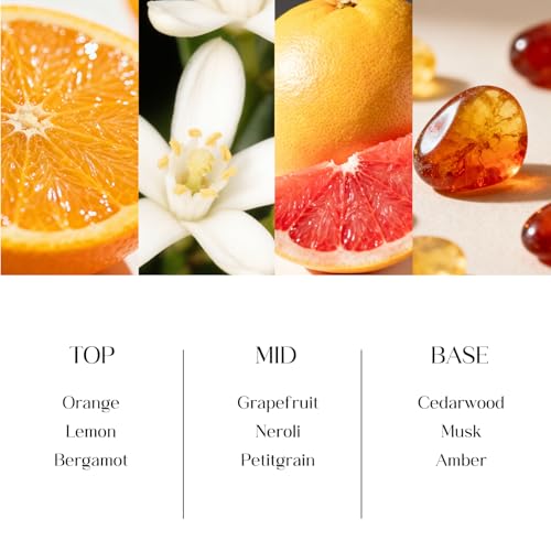 Clesh Reed Diffuser Set, 6.7 oz Citrus Scented Diffuser with Sticks, Home Fragrance Reed Diffuser for Bathroom Shelf Decor