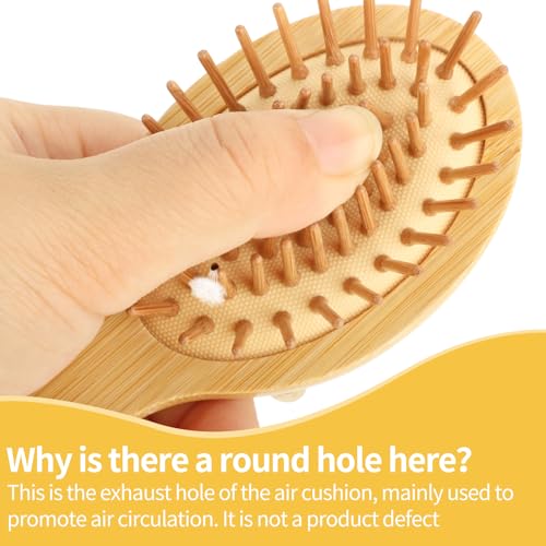 Mini Bamboo Hair Brush 2-Pack, Boar Bristle & Single Pins Massage Detangler, Small Travel Size for Thick/Curly Hair, Anti-Static Pocket Brush for Women Men Kids Gift