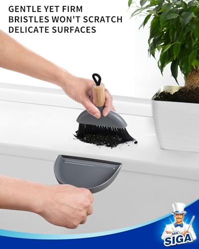 MR.SIGA Mini Dustpan and Brush Set, Portable Cleaning Brush and Dustpan Combo with Bamboo Handle, Gray, 1 Set - color: Gray