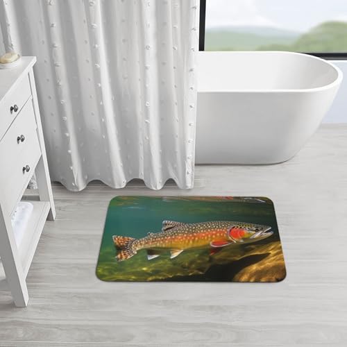Stone Bath Mats for Bathroom Diatomaceous Earth Bath Mat Super Absorbent Floor Mat Brook Trout Fly Fishing Stone Drying Mats Quick Drying Diatomite Shower Mat for Bathtub Pad 19.7x31.5in - color: Brook Trout Fly Fishing, size: 1'8" x 2'8" (Rectangular)