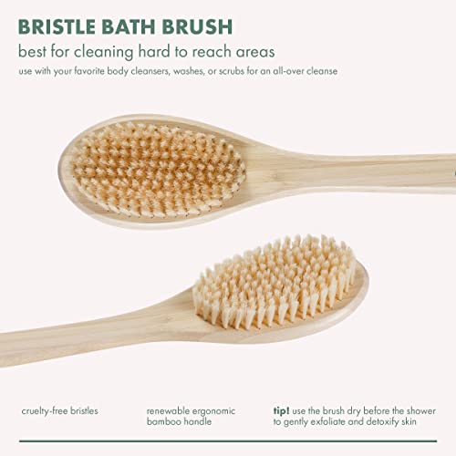 EcoTools Bristle Bath Brush, Shower Body Brush with Gentle, Stiff Bristles, Long Bamboo Handle, Gently Exfoliating for Back & Body, Stimulates Blood Circulation, Eco-Friendly, 1 Count (Pack of 2) - size: 1 Count (Pack of 2)