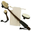 Vive Dry Brush Set for Lymphatic Drainage (3 Pack) - Brushing Scrubber for Exfoliating, Body Cellulite and Skin Massage - 100% Natural Boar Hair Bristles, 19” Long Dark Wooden Handle w/Storage Bag