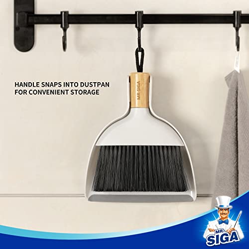 MR.SIGA Mini Dustpan and Brush Set, Portable Cleaning Brush and Dustpan Combo with Bamboo Handle, 1 Set - color: White