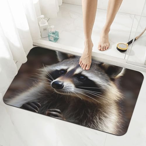 Stone Bath Mats for Bathroom Diatomaceous Earth Bath Mat Super Absorbent Floor Mat Raccoon Stone Drying Mats Quick Drying Diatomite Shower Mat for Bathtub Pad 15.7x23.6in - color: Raccoon