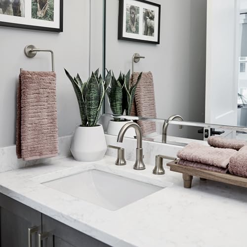 SKL Home CloudSoft Cotton Luxury 2-Piece Hand Towel Set, Clay - color: Clay, style: Hand Towels (Set of 2)