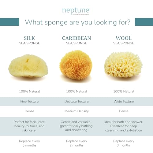 Neptune Caribbean Sea Sponge for Face & Body, Large Approx. 6-7 Inches, Ultra-Soft Bath Sponge, Eco-Friendly & Biodegradable