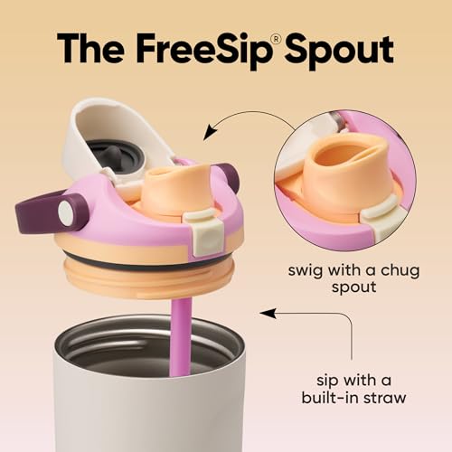 Owala FreeSip Sway Insulated Stainless Steel Water Bottle with Two-Way Spout, Built-In Straw and Bucket Handle, Made for Travel, School, and Sports, 30oz, BPA Free, Leak Proof, Daybreak - color: Daybreak, size: 30 Ounces