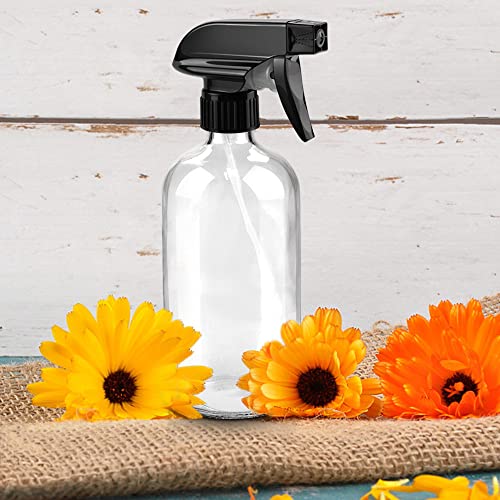 Worldgsb Glass Spray Bottles, 16oz*2+4oz*2+2oz*4 Refillable Containers, Empty Boston Round Bottles with Adjustable Nozzle for Cleaning, Gardening, Aromatherapy, Pets, Plant, Hair - Clear - color: Clear