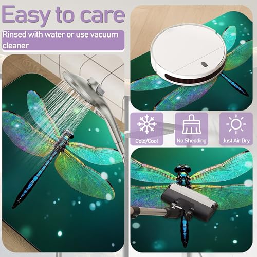 Dream Dragonfly Bathroom Rugs Mat, Super Absorbent Quick Drying Floor Mat for Bathroom Entryway 17"x30" - color: Dream Dragonfly